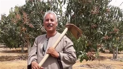 نقيب الفلاحين: ارتفاع توريد القمح المحلي لنحو 4 مليون طن حتي الآن 