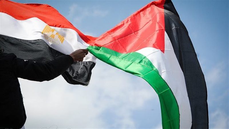 الدور المصري في القضية