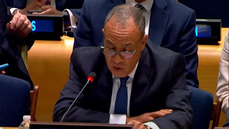 وزير الخارجية في