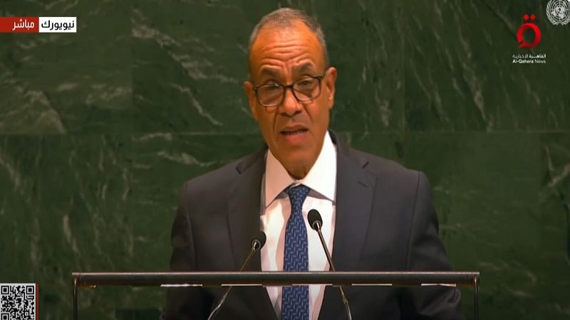 الدكتور بدر عبد العاطي
