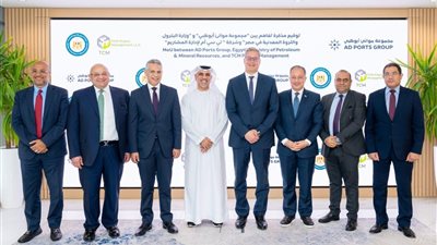 تعاون مصري إماراتي جديد لتعزيز أمن الطاقة الإقليمي