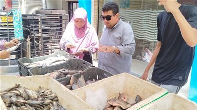 حملة موسعة بكفر سعد في دمياط لضبط الأسواق ومتابعة سلامة السلع الغذائية