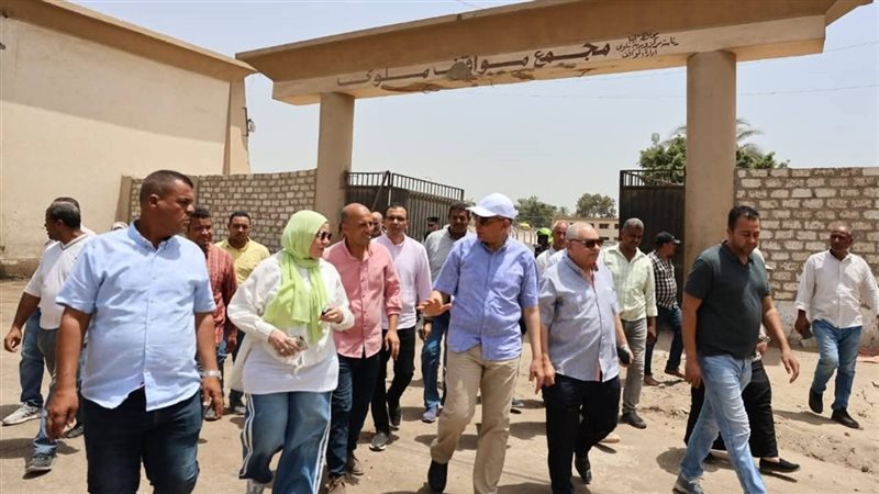 محافظ المنيا