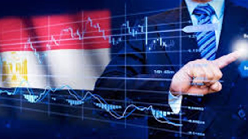 استثمارات القطاع