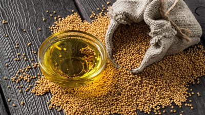 زيت الخردل.. علاج فعال منذ عصر الفراعنة يعزز الصحة بـ10 فوائد مذهلة 