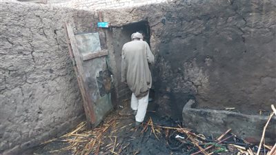 بين لهب النيران وخطر المجهول.. جروبات التواصل خط دفاع أول في حرائق برخيل