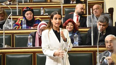 «خارجية النواب»: التهجير القسري تصفية للقضية الفلسطينية وخرق للقانون الدولي