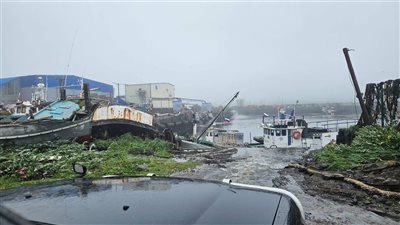 خبير جيولوجي: زلزال روسيا من بين أقوى الزلازل الحديثة |فيديو
