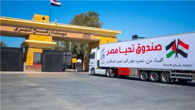 علي السيد: مصر لم تتخلَّ عن فلسطين.. ودعمها مستمر رغم محاولات التشويه