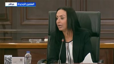 وزيرة التضامن: 4500 طن مساعدات دخلت غزة خلال 4 أيام عبر قافلة زاد العزة من مصر