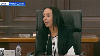 التضامن: 35 ألف شاحنة مساعدات إلى غزة رقم غير مسبوق في تاريخ العمل الإنساني 