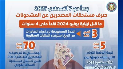  المالية تُعلن تفاصيل صرف مستحقات المصدرين عن الشحنات حتى يونيو2024 (انفوجراف)
