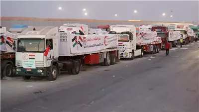 داليا أبوعمر: مصر تُحمّل أعباء القضايا الدولية رغم كل التحديات