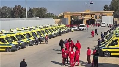 مصر تداوى آلام غزة ..عبد الله كحيل : ندائى وصل للرئيس السيسى | تقرير 