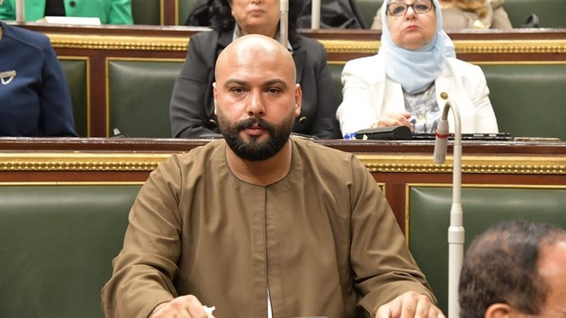 النائب إبراهيم الديب