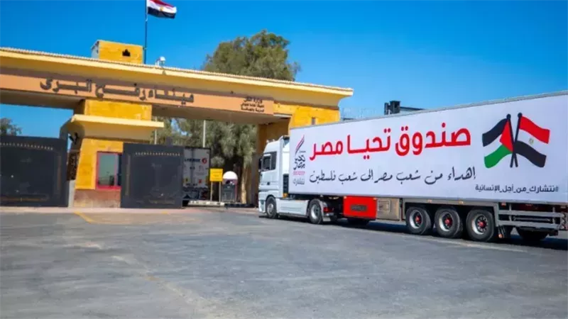 الدور المصري في القضية