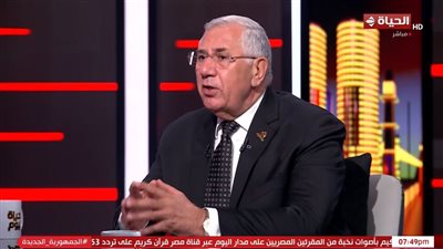 السيد القصير: كلمة الرئيس السيسي بشأن غزة أثمرت نتائج على الأرض