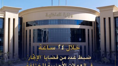 ضبط قضايا إتجار بالعملات الأجنبية قيمتها 8 ملايين جنيه خلال 24 ساعة 