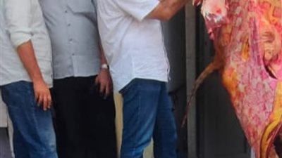 بيطري المنوفية: ضبط 2 طن ونصف لحوم ودواجن وأسماك وكبدة غير صالحة للاستهلاك 