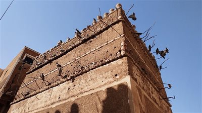  عمره 100عام.. 