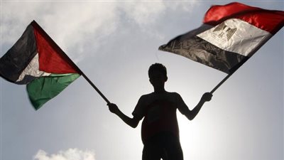 أشرف العشري: مصر متمسكة بعهدها في مساندة القضية الفلسطينية|فيديو 