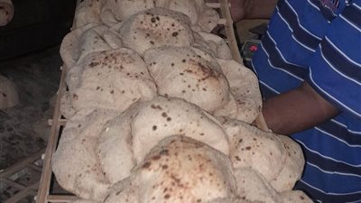 تموين الإسماعيلية يكثف حملاته لضبط الأسواق والمخابز وتحرير 179 مخالفة تموينية