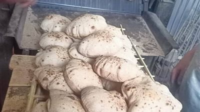 محافظ أسيوط: تحرير 531 محضرًا متنوعًا خلال حملات مكثفة على المخابز والأسواق  