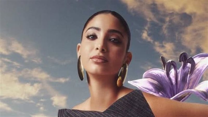 لي لي أحمد حلمي