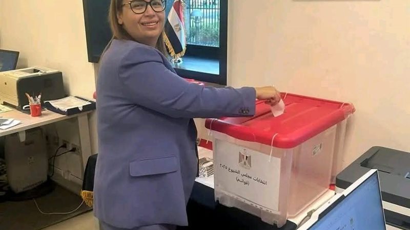 انتخابات المصريين