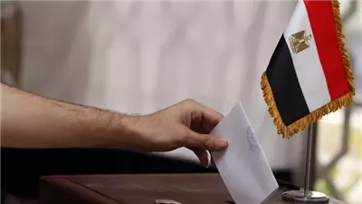 قنصل مصر في نيويورك: عملية تصويت المصريين في الخارج تسير بسلاسة ويسر|فيديو 