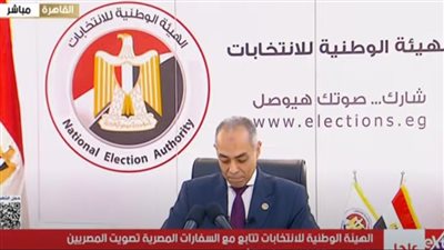 قنصل مصر في نيويورك: تصويت المصريين في الخارج تسير بسلاسة ويسر دون معوقات