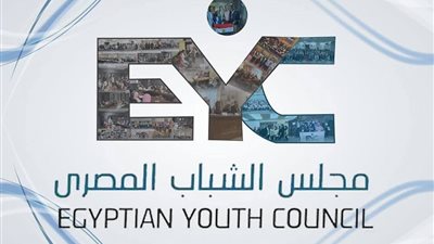 الشباب المصري يصدر تقريره الأول حول تصويت المصريين بالخارج بانتخابات الشيوخ