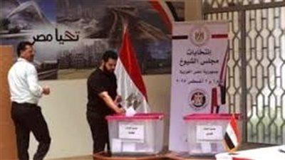 حزب العدل: استخراجنا 1547 توكيلًا لصالح مرشحينا لانتخابات مجلس الشيوخ 2025