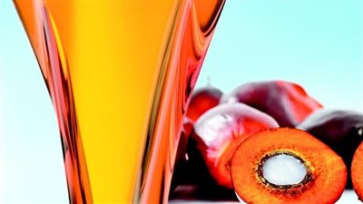  هل يؤثر زيت النخيل على مستوى الكوليسترول؟ الحقائق التي يجب معرفتها 