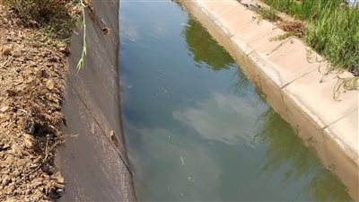 62 كيلومتر تطهير مساقي بالمنوفية لخدمة 4 آلاف فدان زراعي