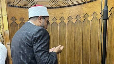 محمد أبو بكر: رويبضة 