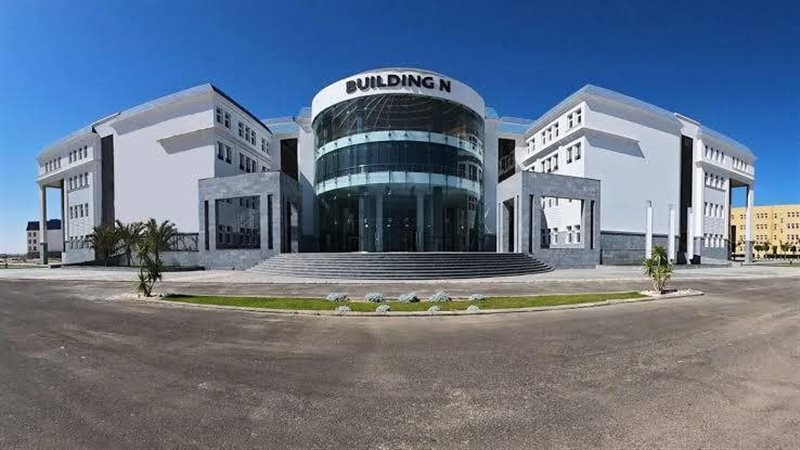 جامعة سيناء