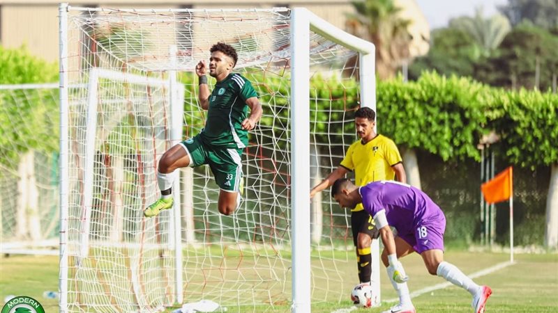 رشاد المتولي