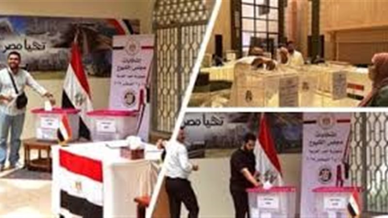 انتخابات مجلس الشيوخ