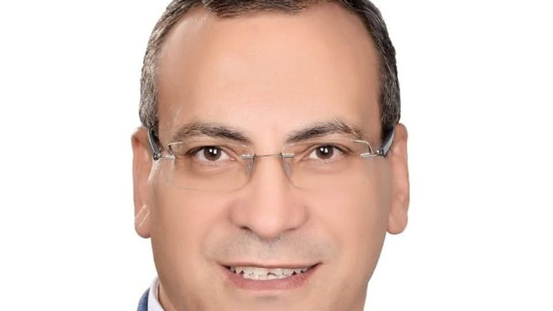 المستشار علاء سليم