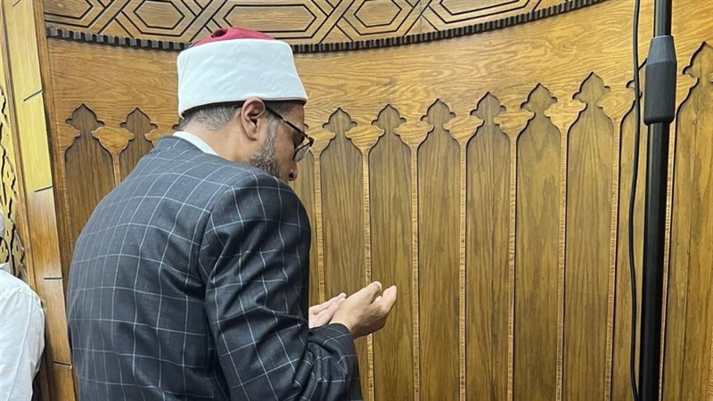 محمد أبو بكر جاد