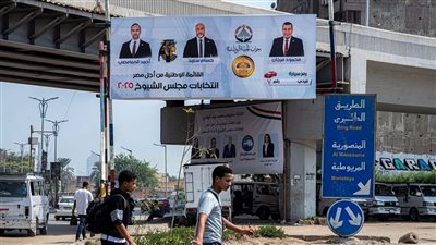 النظام والأحزاب المشاركة.. كل ما تريد معرفته عن انتخابات مجلس الشيوخ 2025