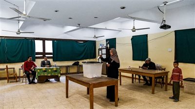 انتخابات مجلس الشيوخ 2025.. اعرف لجنتك الانتخابية بـ4 خطوات فقط وموعدها
