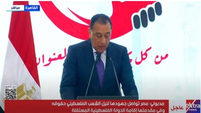 رئيس الوزراء: ملف رعاية المصريين في الخارج يحظى بأولوية الدولة