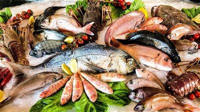 أسعار السمك والجمبري اليوم الأحد 3 أغسطس 2025.. تباين ملحوظ في سوق العبور