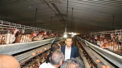 وزير الزراعة ومحافظ الشرقية يتفقدان مشروع الصالحية الزراعي المتكامل