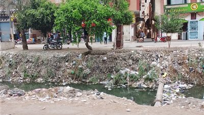 ترع دمياط خارج الخدمة.. المزارعون يستغيثون بالمحافظ: الأراضي بارت