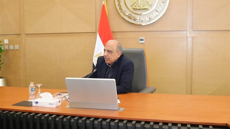 وزير الكهرباء