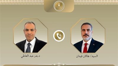 مصر وتركيا تشددان على ضرورة وقف إطلاق النار وتوسيع الدعم الإنساني لغزة