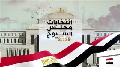 انطلاق انتخابات مجلس الشيوخ 2025: تصويت الخارج يسبق الداخل